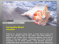 fernadinabeachvacation.com