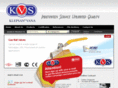 klepsanvalves.com