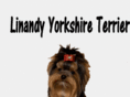 linandy.com