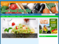 rawfooddietsite.com