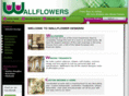 wallflowerdesigns.com