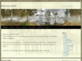 discoversalas.com