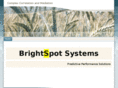 brightspotsystems.com