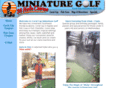 coralcayadventuregolf.com