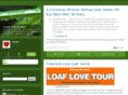 ilovevwbuses.com