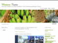 srinaiweb.com