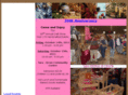 tarafestivalofcrafts.com