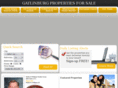 walterbwilliams.net