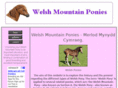 welsh-mountain-ponies.com