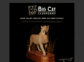 bigcattaxidermy.com