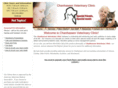 chanhassenvet.com