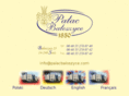 palacbaloszyce.com
