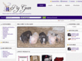 piggear.com