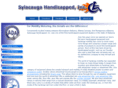 sylacaugahandicap.com