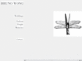 bruno-wong.com