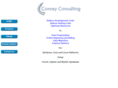 conrayconsulting.com