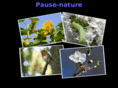 pause-nature.com