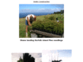 shaneshawaii.com