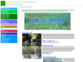 wild-wind.org