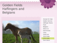 goldenfieldshorses.com