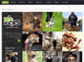 holmesonhounds.com