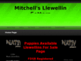 mitchellsllewellinsetters.com