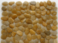 codexstone.com