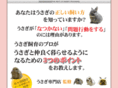 usagi-kaikata.com