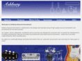 ashburymusicalinstruments.com