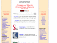 chicagoorientalrugscarpets.com