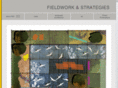 fieldworkandstrategies.com