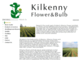 irishdaffodils.com