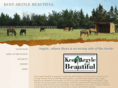 keepargylebeautiful.com