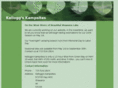 kelloggskampsites.net