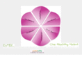 onehealthyhabit.com