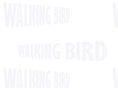 walkingbird.com