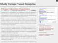 whollyforeignownedenterprise.com