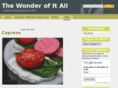 wonder-of-it-all.com