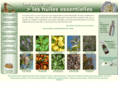 01-huile-essentielle.com