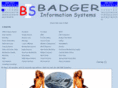 badgerinfosys.com