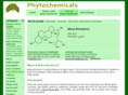 beta-sitosterol.info