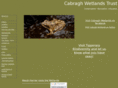 cabraghwetlands.ie