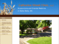 catherinestreetclinic.com