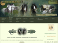 gemelli-equi.com