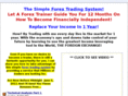 the-forextradingsystem.com