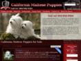 californiamaltesepuppies.com