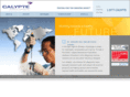 calypte.com
