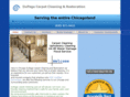 carpetcleanernow.com