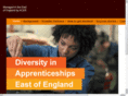 diversityinapprenticeships.info