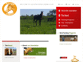 goldenhorses.org